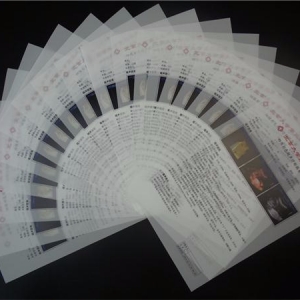 醫(yī)用彩超膠片—激光半透明膠片